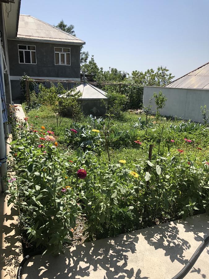 Shaki Host House Bed & Breakfast Şǝki Bagian luar foto
