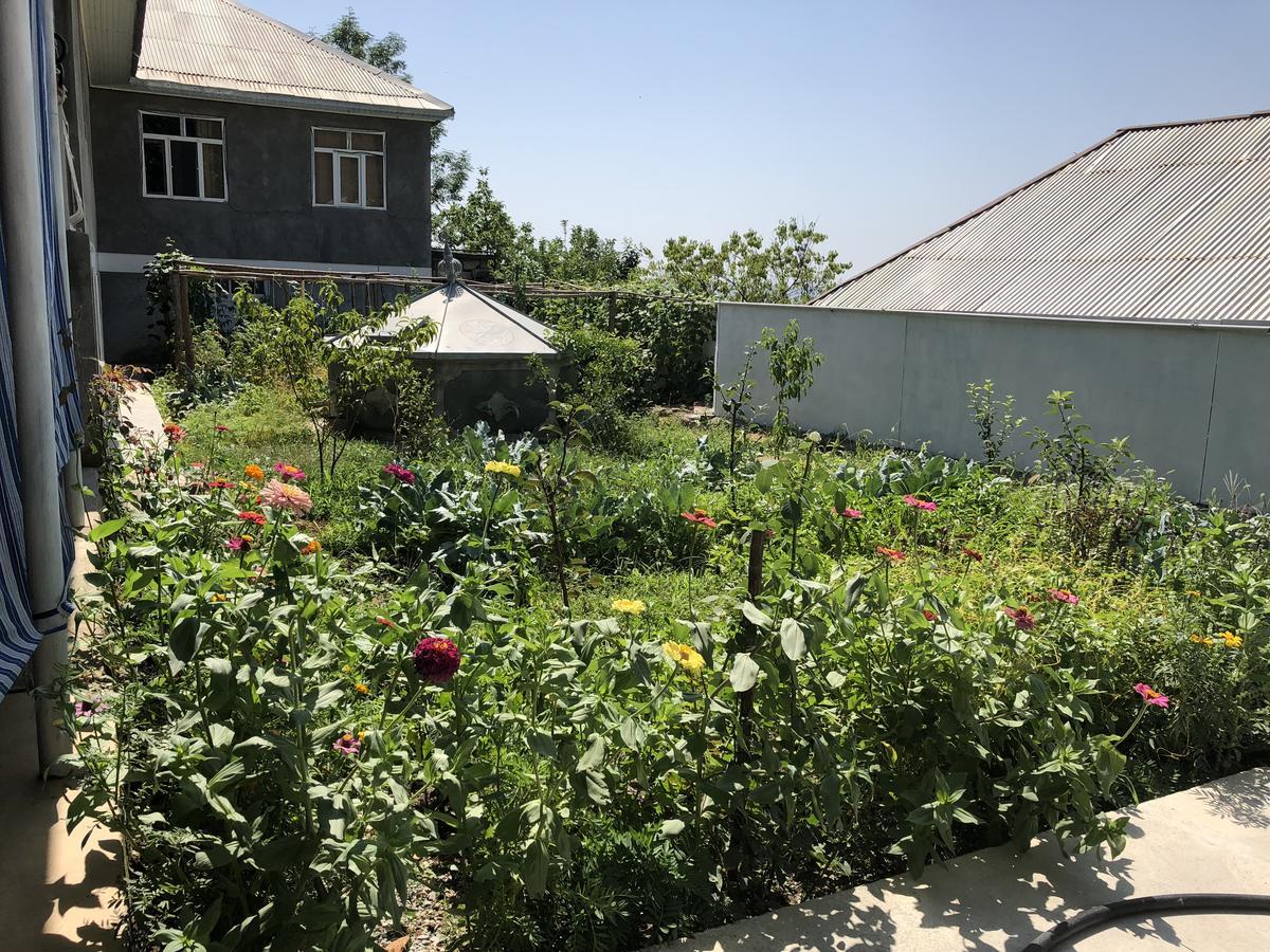 Shaki Host House Bed & Breakfast Şǝki Bagian luar foto