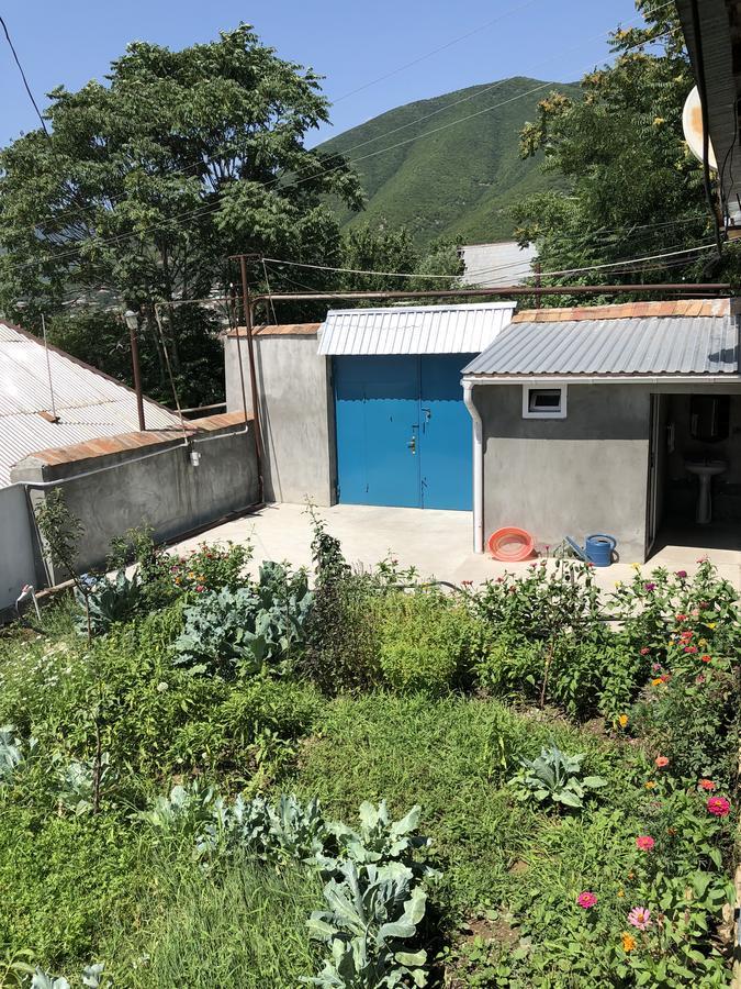 Shaki Host House Bed & Breakfast Şǝki Bagian luar foto